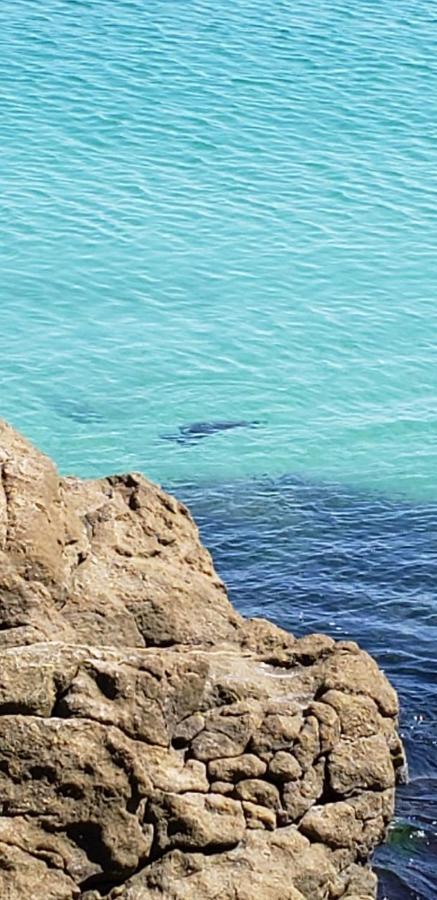 Apartamento Frente Mar Com 02 Suites Bombinhas Dış mekan fotoğraf